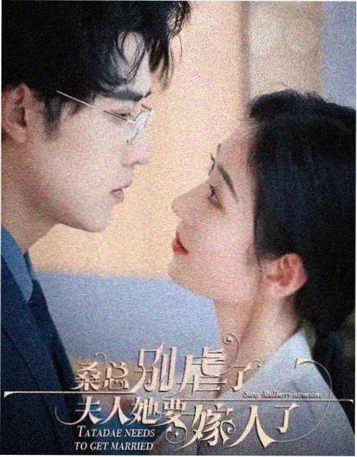 白色回声电视剧封面
