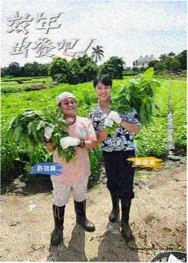 我们的乐队夏天综艺封面